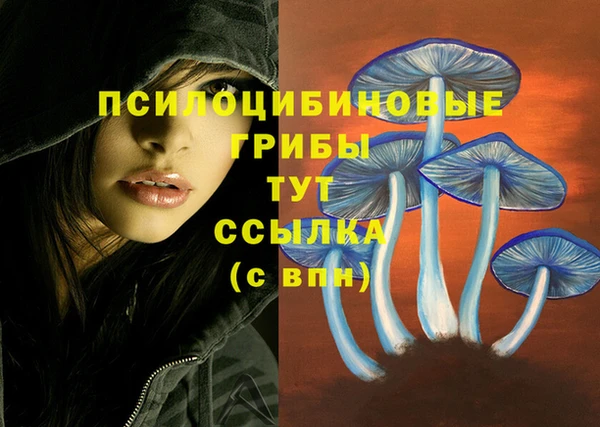 первитин Инта